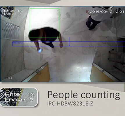 شمارش افراد