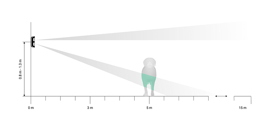 نادیده گرفتن چشمی دزدگیر